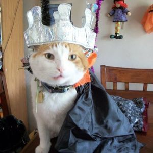 Meet your Posher, Karen